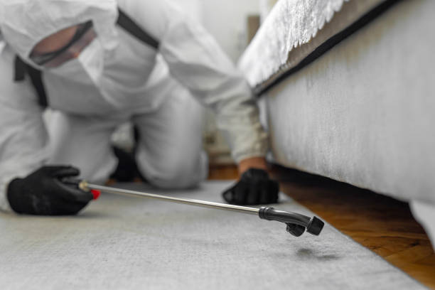 Professional Bed Bug Control technician working in West Middlesex, PA