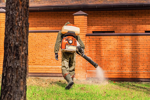 Trusted Termite Control service in West Middlesex, PA - Nex Pest Control